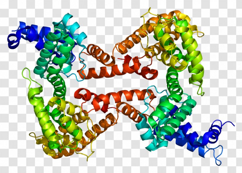Vitamin D-binding Protein GcMAF Globulin - Bead - Gamma Transparent PNG