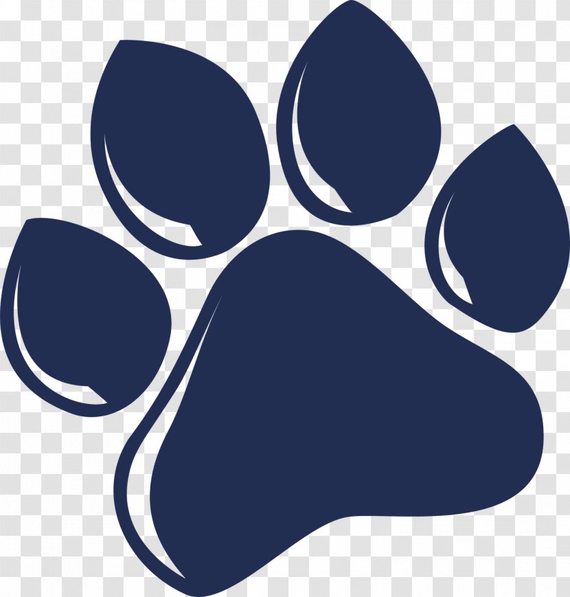 Wildcat Clip Art YouTube Paw Product - Discover Card Transparent PNG