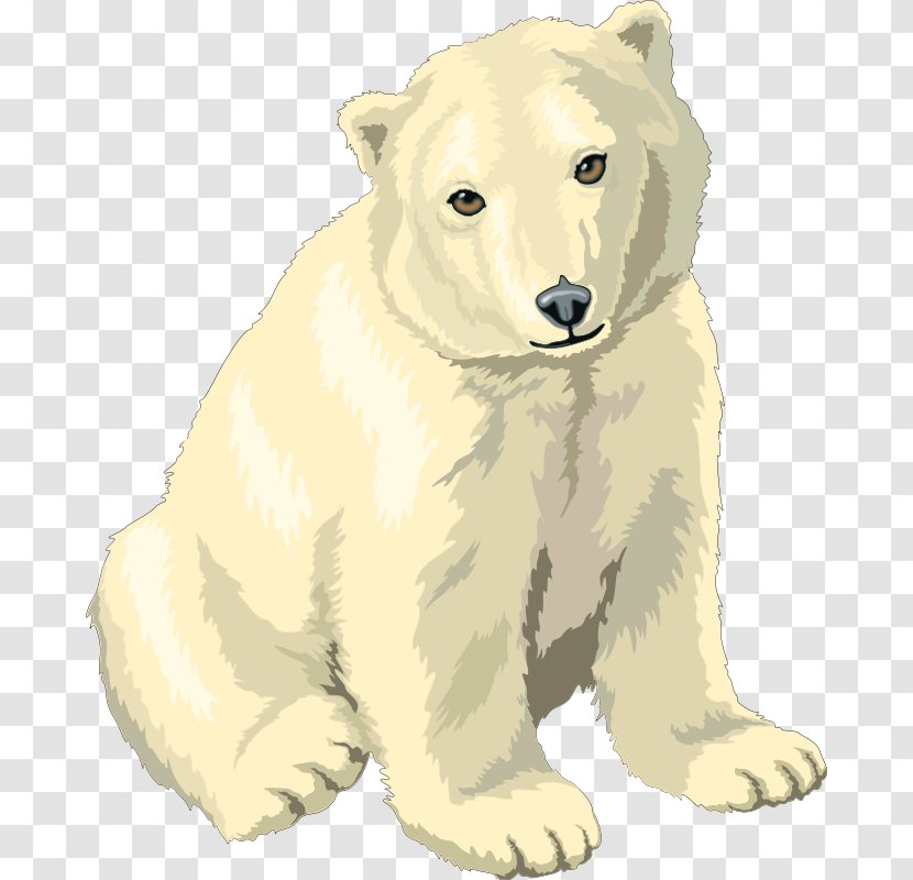 Polar Bear Giant Panda Clip Art - Cartoon - On Bears Transparent PNG