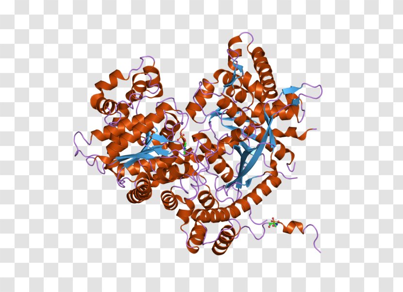 Paris Illustration Protein Plakophilin-1 Troponin T - Gene Transparent PNG