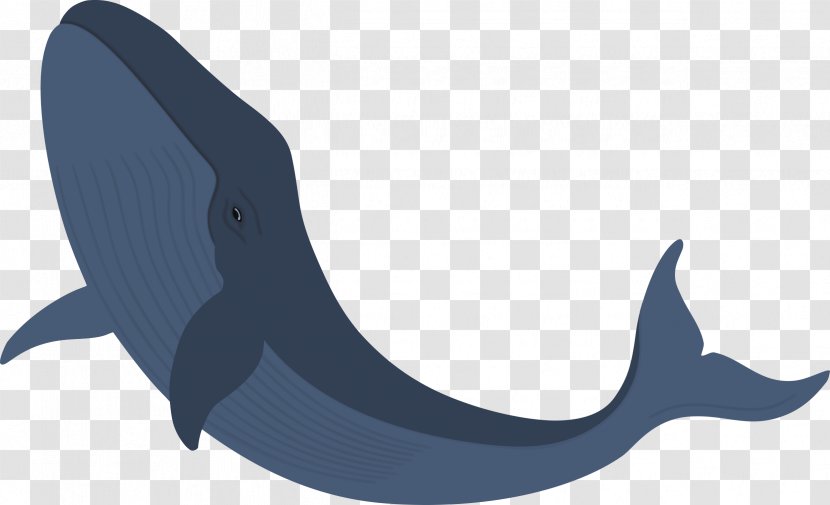 Shark Fin Background - Dolphin - Hammerhead Transparent PNG