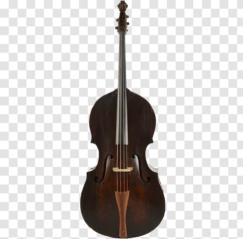 Bass Violin Violone Double Viola Octobass - Tree - Guitar Transparent PNG