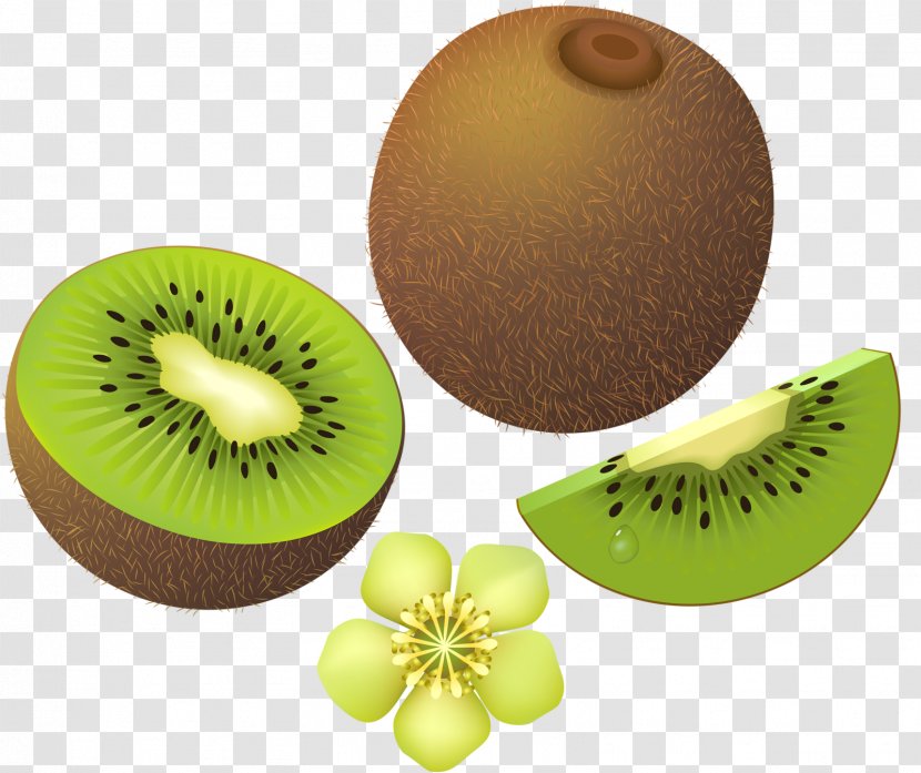 Kiwifruit Auglis Clip Art - Vegetable Transparent PNG