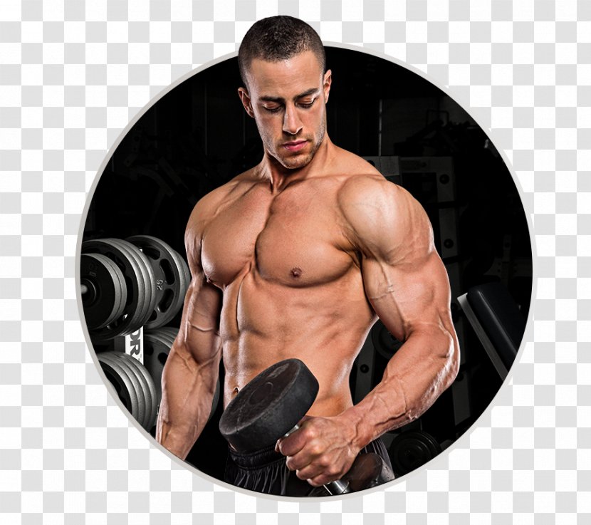 Bodybuilding Supplement Muscle Dietary Physical Fitness - Tree - Ripped Transparent PNG