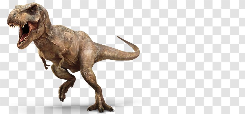 Tyrannosaurus Velociraptor Jurassic Park: The Game Triceratops - Organism - Park Transparent PNG