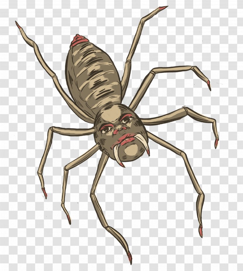 Weevil Insect Arachnid Spider-Man Pest - Spiderman Transparent PNG