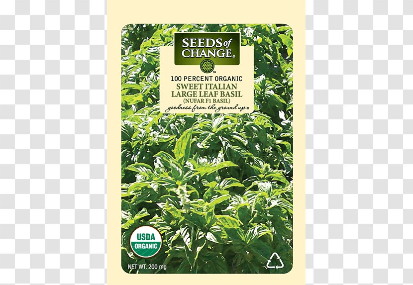 Basil Seed Organic Certification Herb Food - Thai Transparent PNG