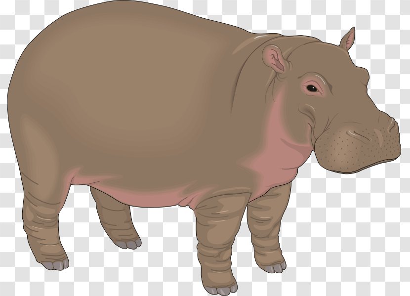 Hippopotamus Baby Hippos Free Content Clip Art - Terrestrial Animal - Hippo Material Transparent PNG