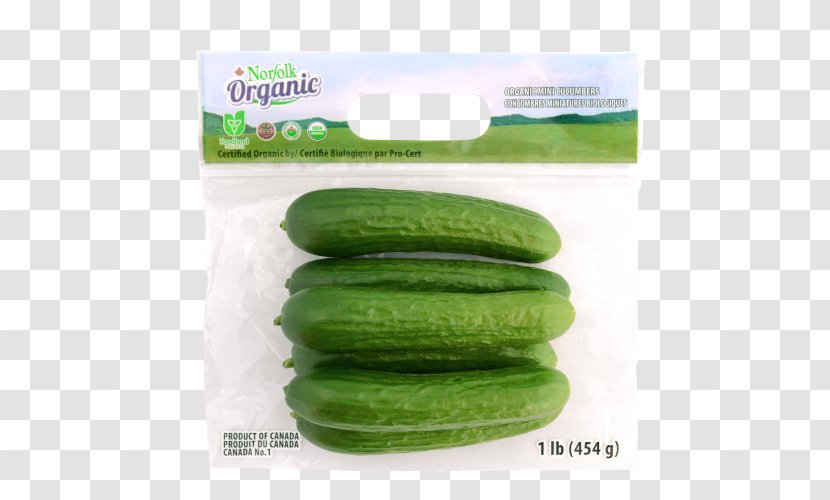 Pickled Cucumber Melon Organic Food Transparent PNG