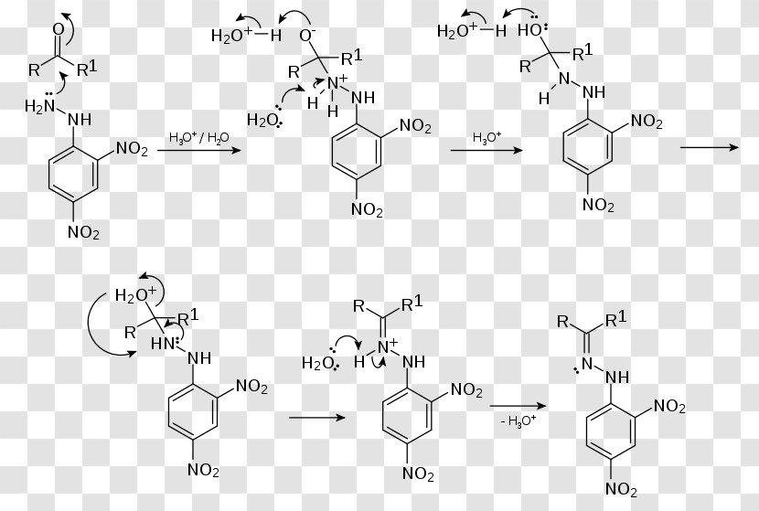 2,4-Dinitrophenylhydrazine Chemical Reaction Mechanism Aldehyde Carbonyl Group - Sulfuric Acid Transparent PNG