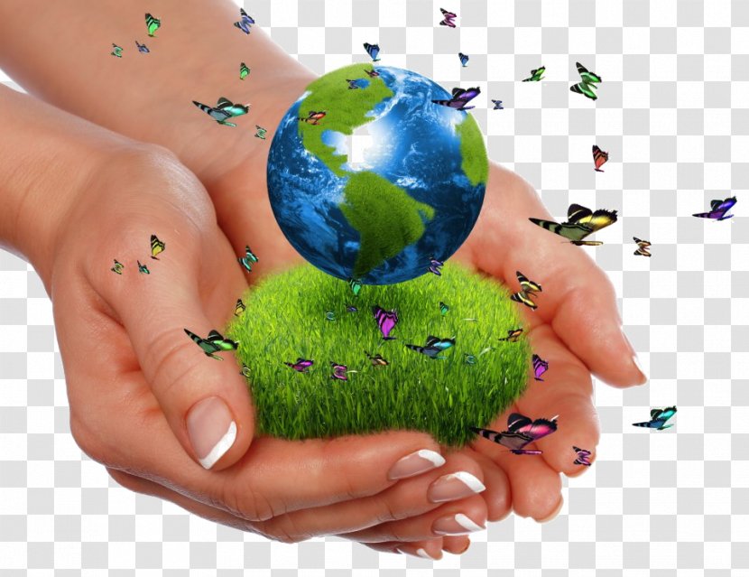 World Earth Sustainability Natural Environment Green - Sustainable Living Transparent PNG