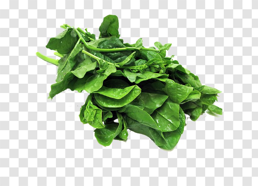 Spinach Komatsuna Collard Greens Spring Chard - Vegetable Transparent PNG