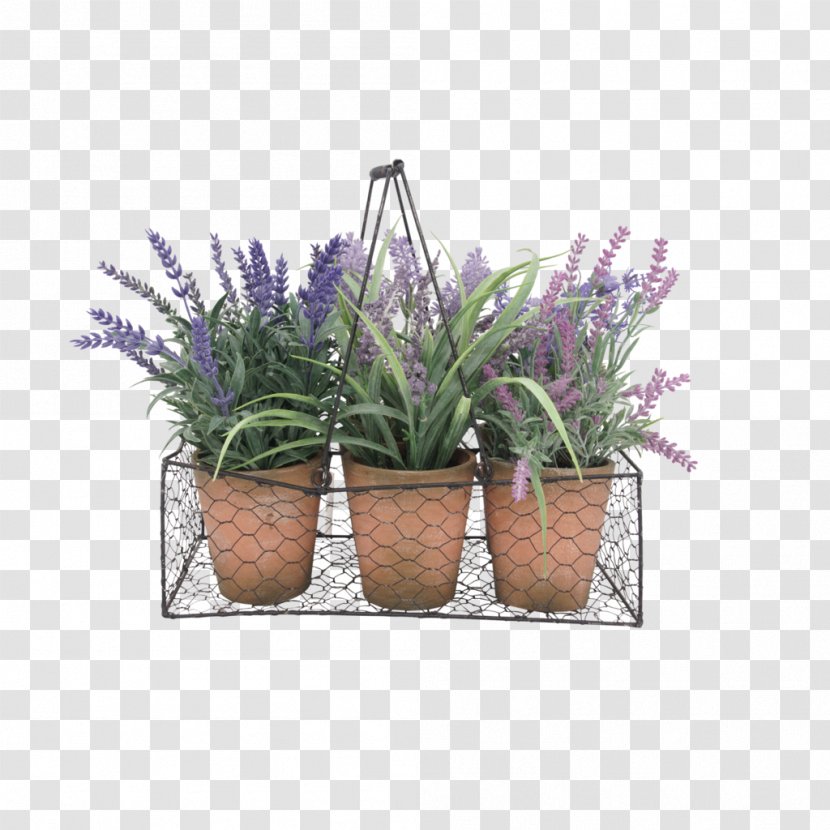Flowerpot Plastic Material Aucuba Japonica Garden - Color - Potted Transparent PNG