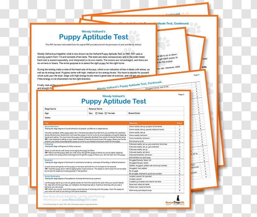 Rescue Dog Puppy Temperament Test Adoption Transparent PNG