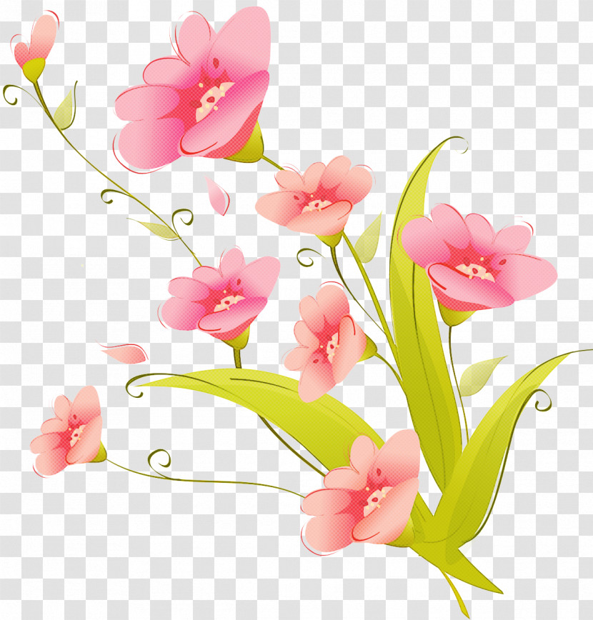 Flower Pink Cut Flowers Plant Petal Transparent PNG