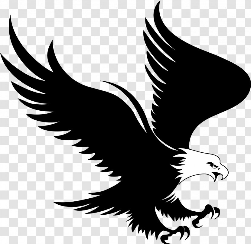 Bald Eagle Logo Royalty-free - Beak Transparent PNG