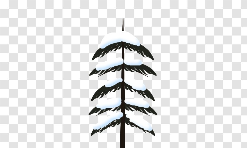 Feather - Tree Transparent PNG