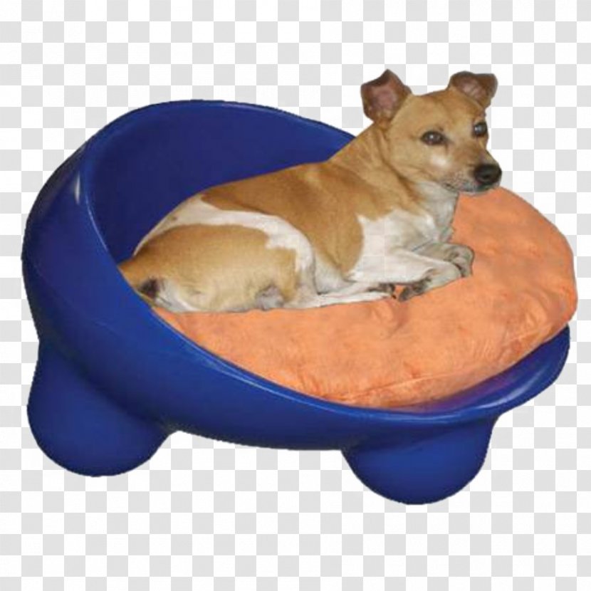 Dog Breed Chihuahua Puppy Police Small / Cat Bed - Quality - Large Elevated Dishes Transparent PNG