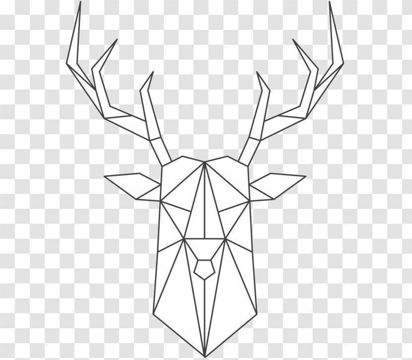 Illustration Line Art Vector Graphics Stock Photography Shutterstock - Coloring Book - Symmetry Transparent PNG