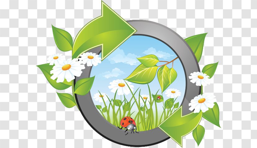Vector Graphics Royalty-free Illustration Stock Photography Clip Art - Naturalists Transparent PNG