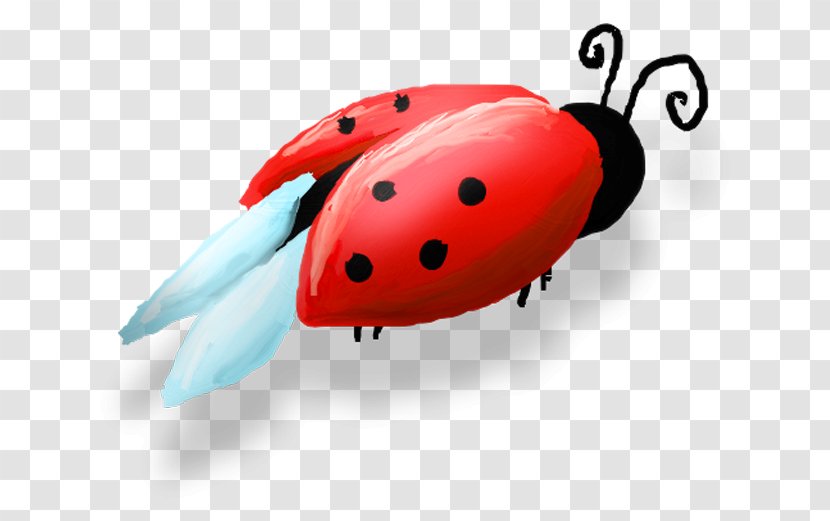 Ladybird Beetle Beruu0161ky Clip Art - Aphid - Ladybug Transparent PNG