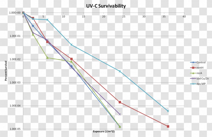 Line Point Angle - Diagram Transparent PNG