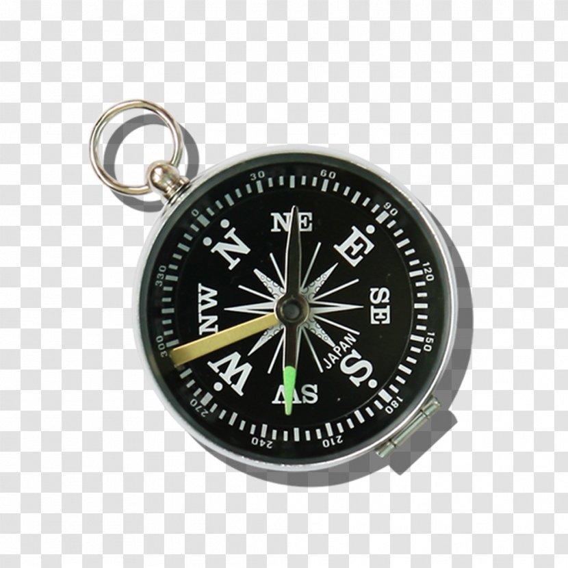 Compass Cardinal Direction Google Images - Designer - Free To Pull The Black Creative Transparent PNG