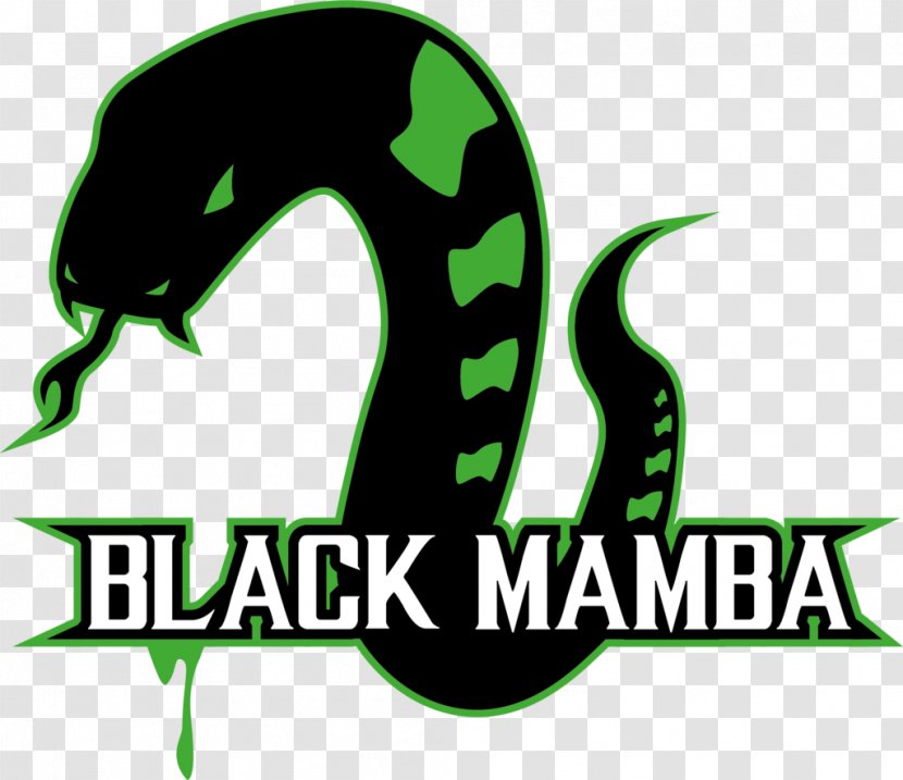 Black Mamba Logo Snakes DeviantArt Font - Green - Snake Transparent PNG