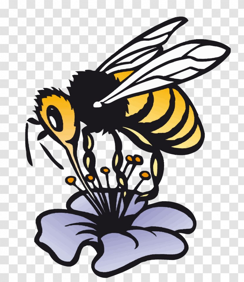 Honey Bee Jabot Beekeeping Clip Art - Brush Footed Butterfly Transparent PNG