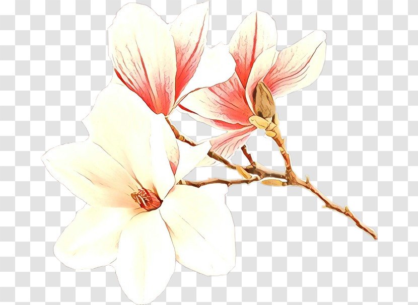 Watercolor Flower Background - Malvales Twig Transparent PNG