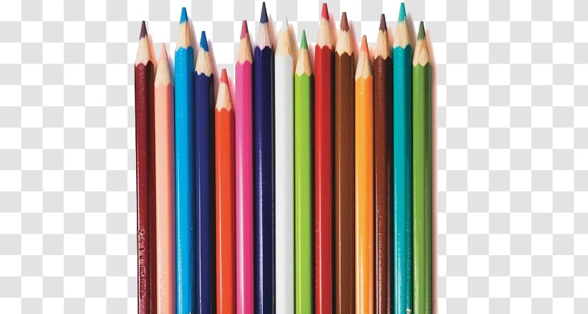Colored Pencil Writing Implement - Lapis De Cor Transparent PNG