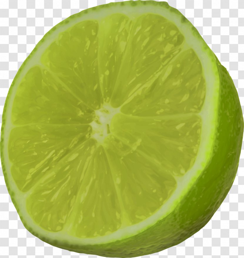 Sweet Lemon Key Lime Persian - Orange Transparent PNG