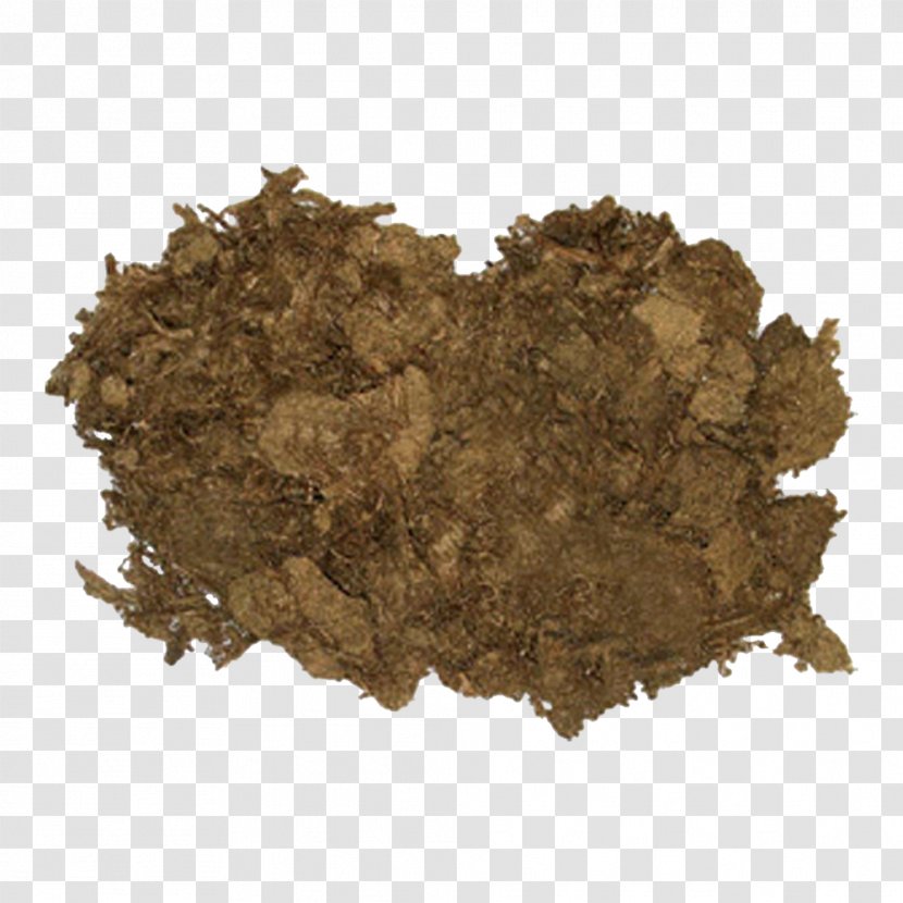 Peat Moss Soil Bog Cultivo - Sphagnum Transparent PNG