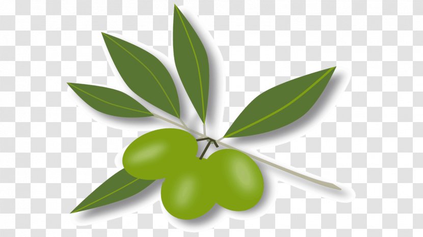 Fruit Royalty-free Leaf Clip Art - Olive Transparent PNG