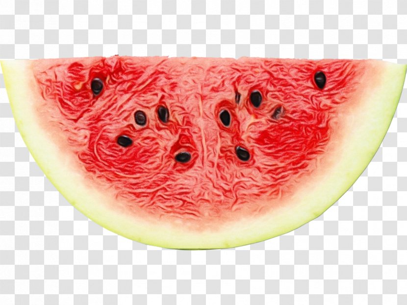 Drawing Of Family - Melon - Plant Citrullus Transparent PNG