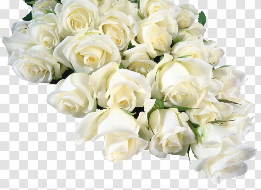 Flower Bouquet Garden Roses White - Bride - Of Flowers Transparent PNG