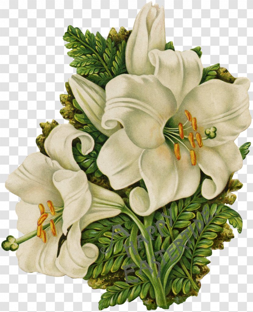 Floral Design Cut Flowers Flower Bouquet Rosaceae - Arranging Transparent PNG