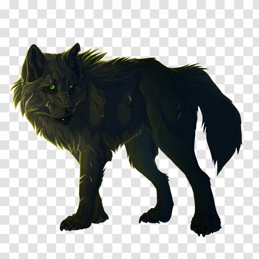 Gray Wolf Cat Art Basior Transparent PNG