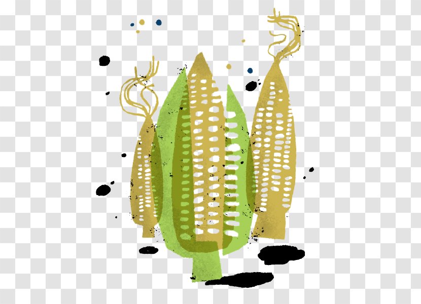 Corn On The Cob Maize Carrot Pea Illustration - Vegetable Transparent PNG