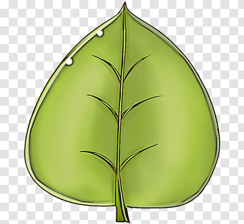 Leaf Green Plant Tree Clip Art Transparent PNG