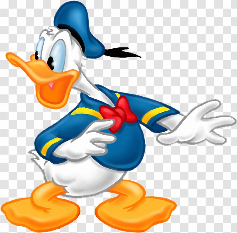 Donald Duck Scrooge McDuck Drawing Clip Art Transparent PNG