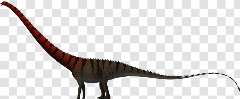 Barosaurus Dinheirosaurus Amphicoelias Supersaurus Dinosaur Size - Sauropoda Transparent PNG