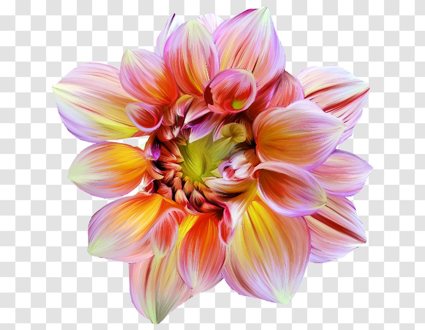 Artificial Flower Floral Design Petal - Orange Transparent PNG