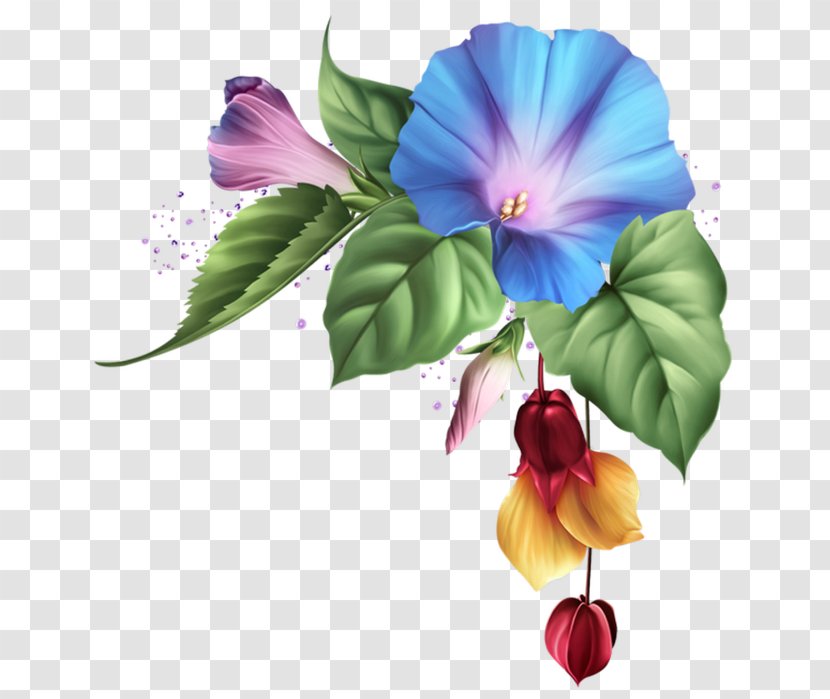 Flower Floral Design Clip Art Drawing Painting - Violet Family Transparent PNG