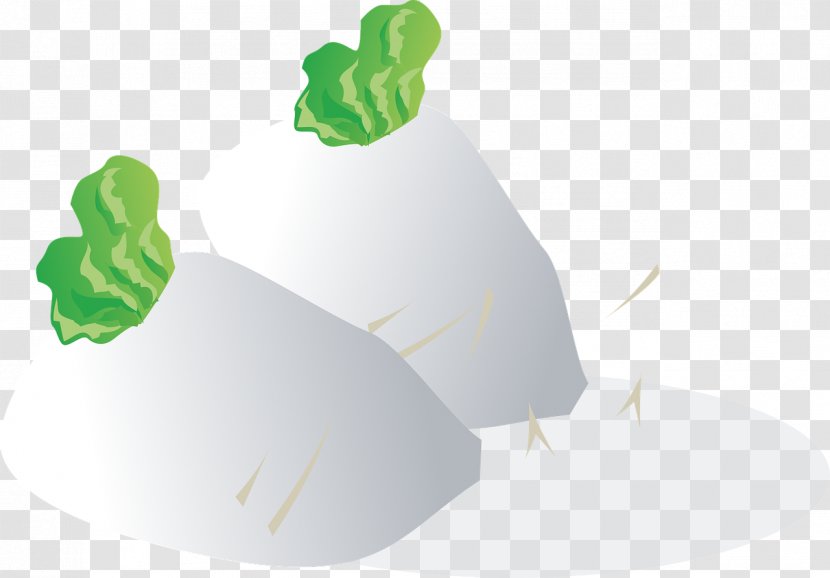 Daikon Rutabaga Turnip Clip Art Vegetable - Greens Transparent PNG