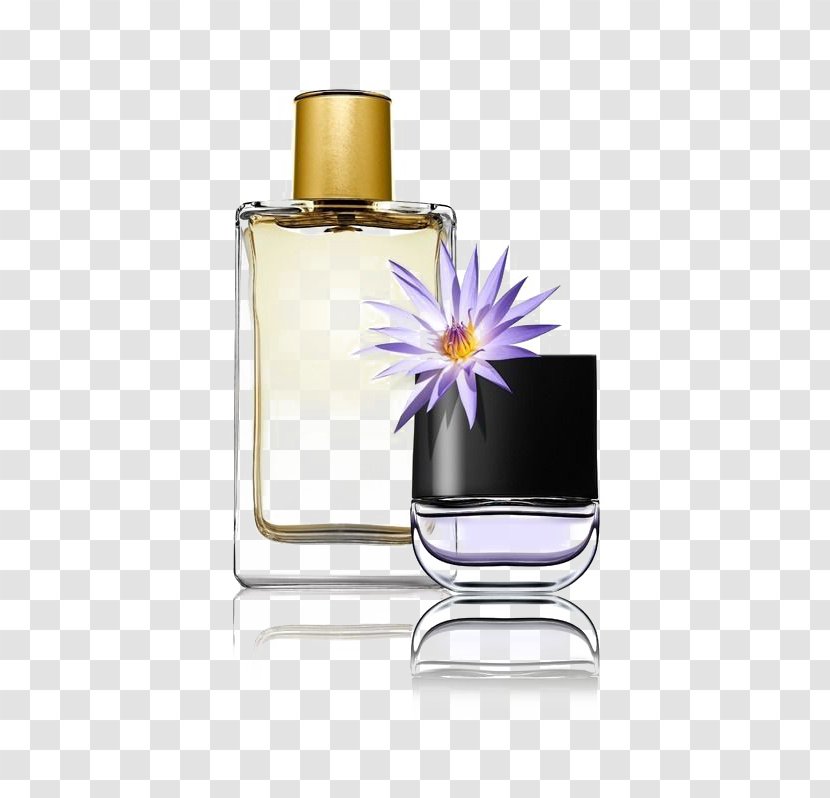 Chanel Perfume Ambroxide Fashion Bottle - Flavor - Exquisite Bottles Transparent PNG