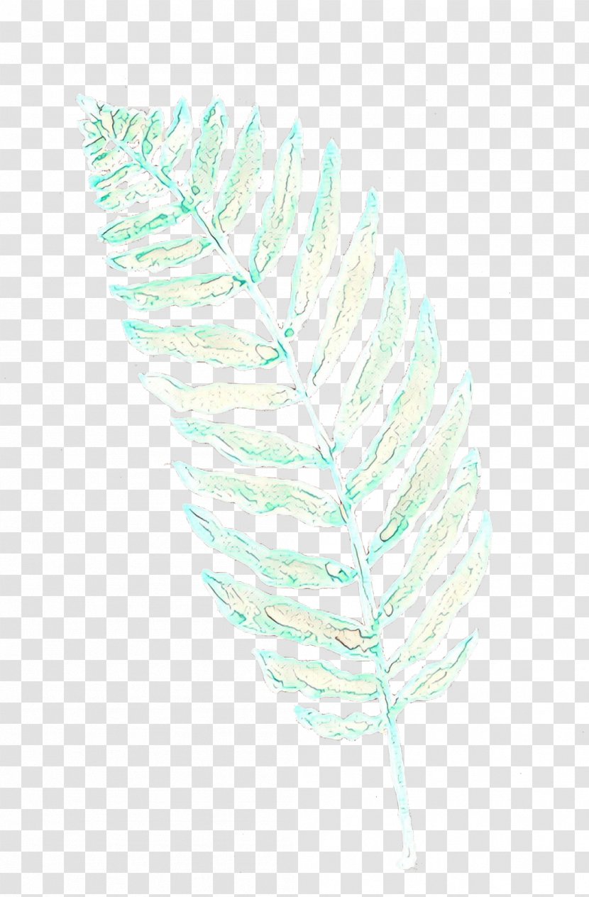Line Feather - Quill Turquoise Transparent PNG