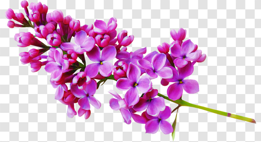 Artificial Flower Transparent PNG