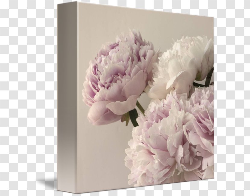 Peony Floral Design Flower Art Painting - Creative Transparent PNG