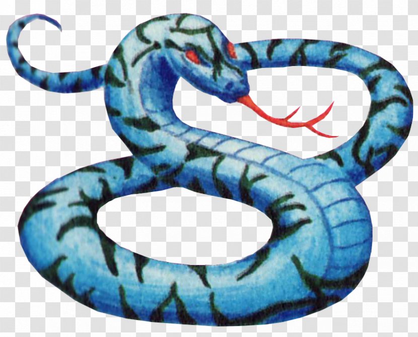 Kingsnakes Boa Constrictor Wikia - Organism Transparent PNG